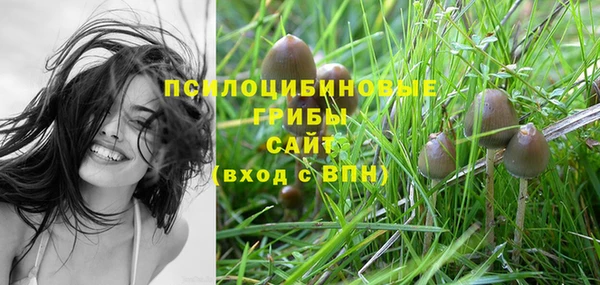 бошки Костерёво