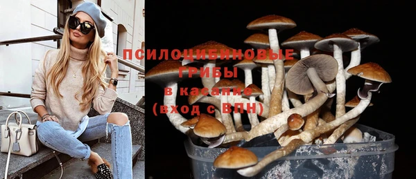 бошки Костерёво
