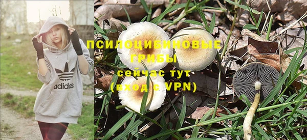 мефедрон мука Коряжма