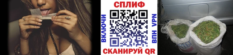 Бошки марихуана THC 21% Купить закладки Дно